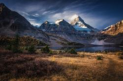 开云体育中国-哥伦比亚爆冷加拿大，格列兹曼三分雨点燃全场的简单介绍