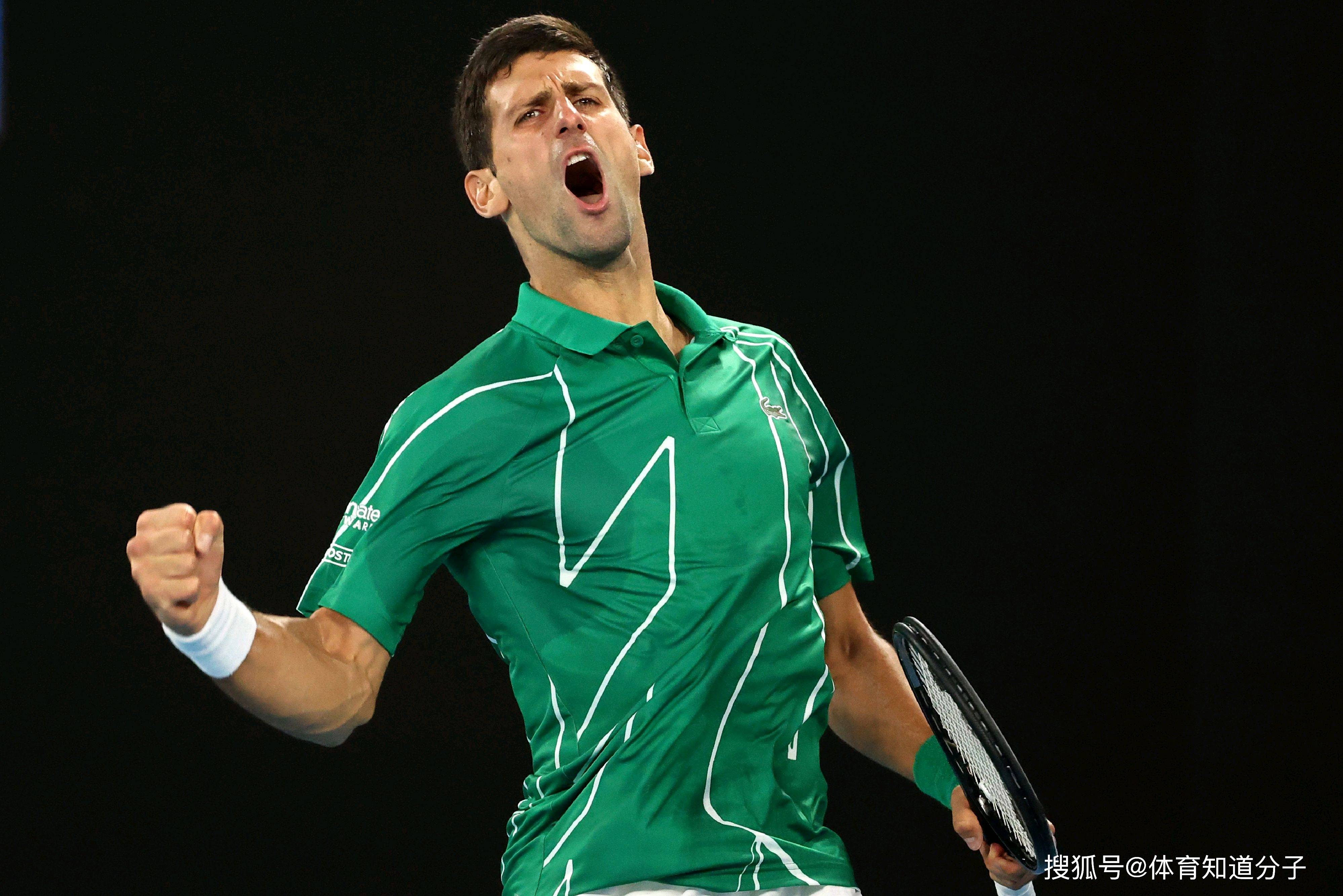 德国网球队力克美国网球队，德约科维奇惊艳世界的简单介绍