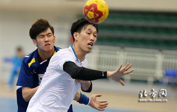 南极洲球队在国际锦标赛中展现实力