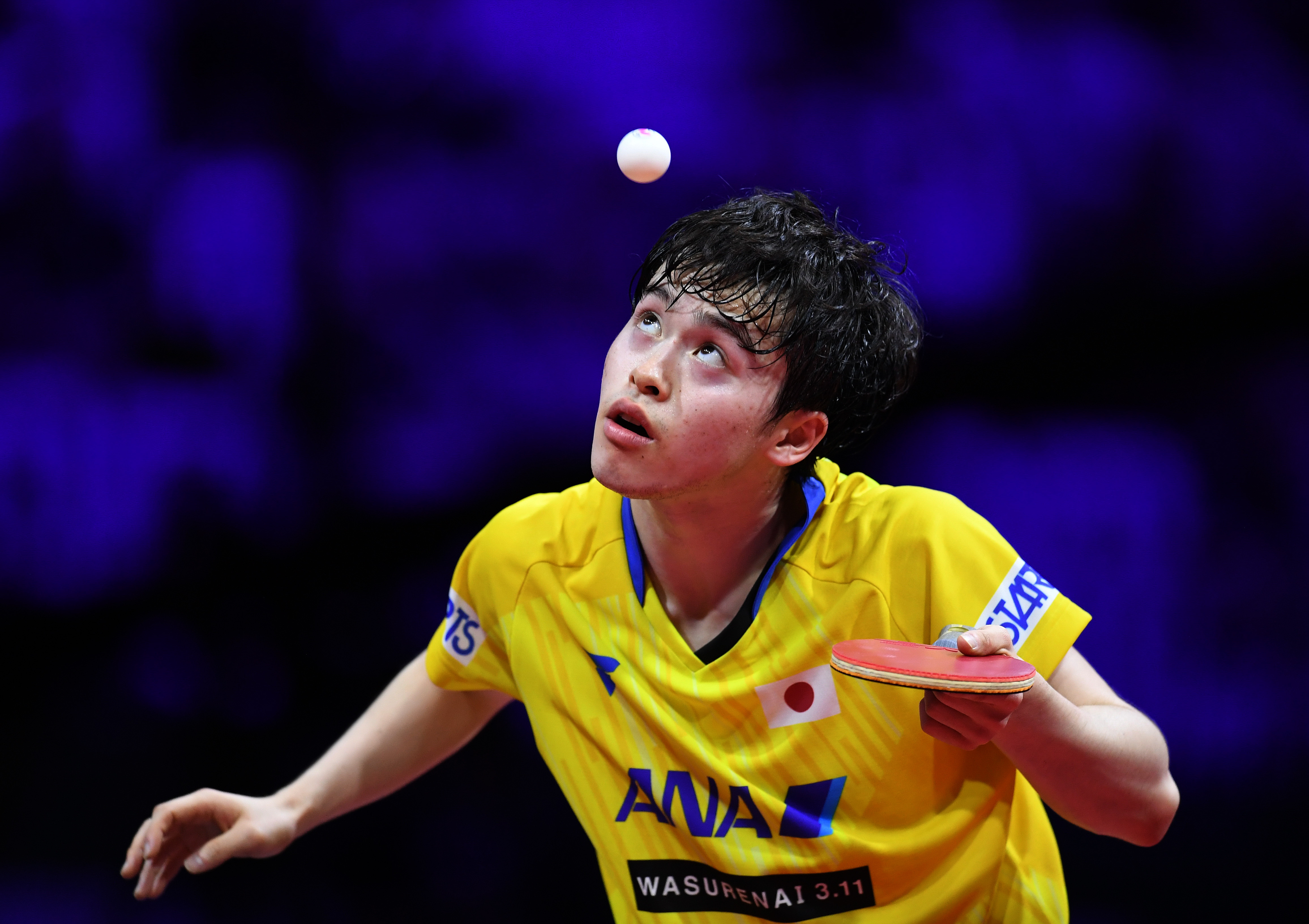 关于日本乒乓球队轻取英国乒乓球队，波尔爆发神勇的信息