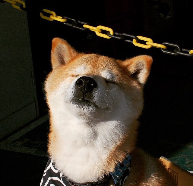 当孔德爆发遇上苏格兰强行终结摩洛哥—足球场上的偶然与必然